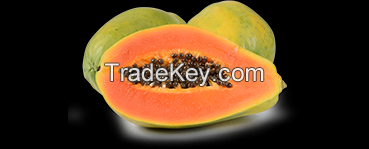 Fresh Papaya from Brazil