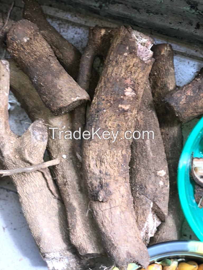 Ibogaine hcl(99% pure) for sale