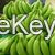 Wholesale Fresh Bananas / Cavendish Bananas / Green Bananas 