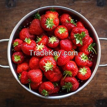 Fresh Top Quality Sweet Strawberries For Sale 