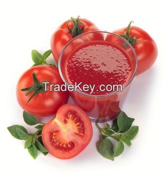 Best price canned and Bulk tomato paste,100% natrual tomatoes 