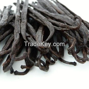 Best Quality Organic Vanilla Beans On Promotion Sale