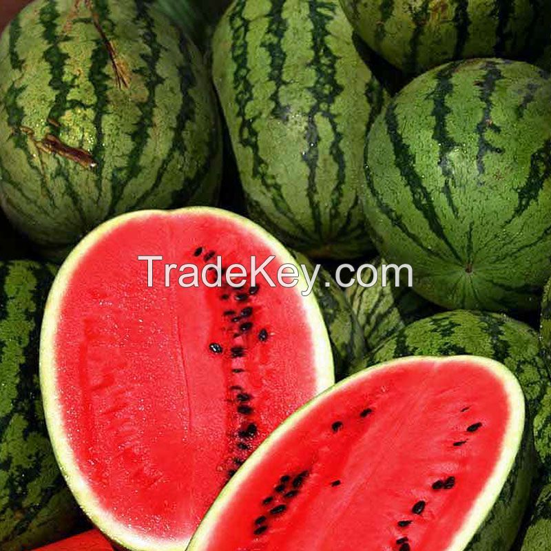 fresh water melon,Watermelon for sale