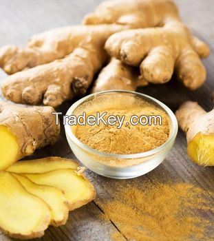 Dry Ginger Powder Dehydrated Ginger Powder 