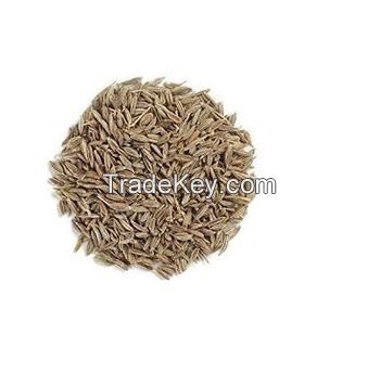 Dried Cumin Seeds For Sale