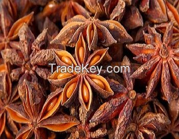 Top Quality 100% Natural Dehydrated Star Aniseed 