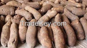 Dry Yam