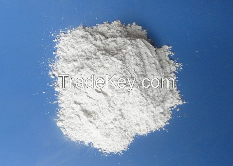 Calcium Carbonated powder 