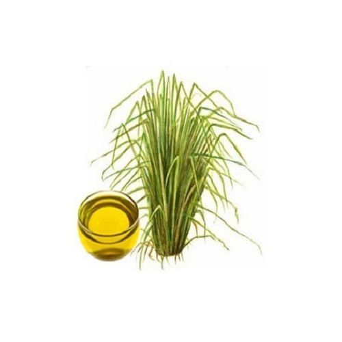 vetiver Oil (Chrysopogon zizanioides)