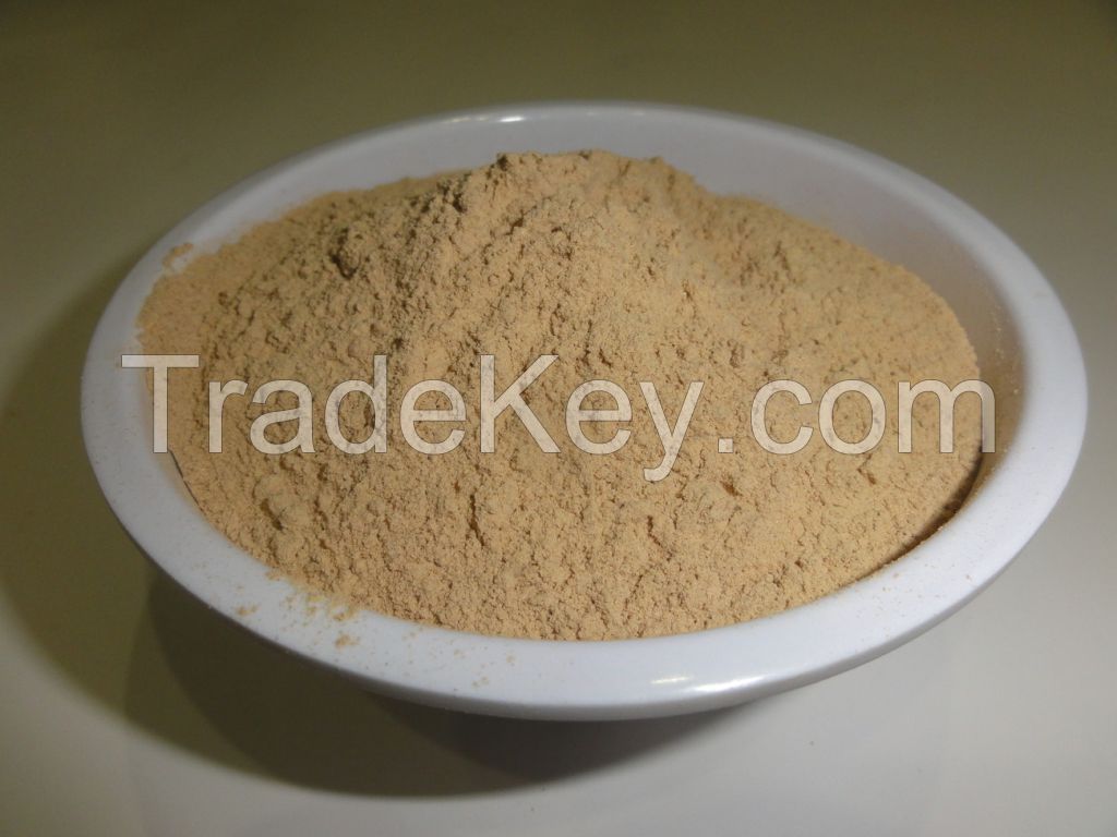 Pure Organic Coleus Forskohlii Extract powder