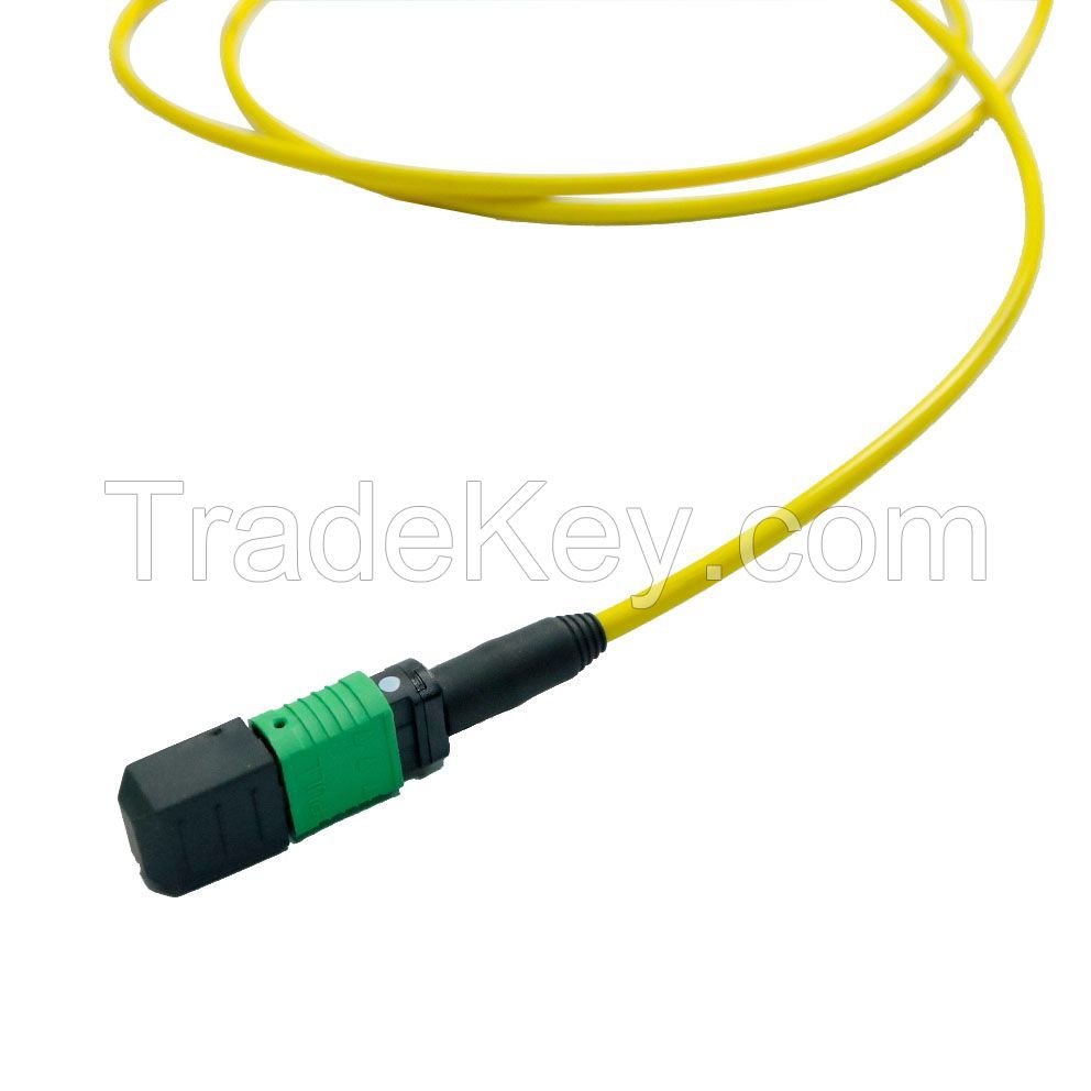 Single Mode OS2 MTP MPO Fiber Array Cable