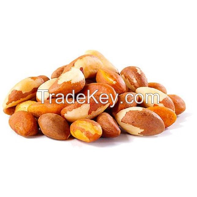 Wholesale Brazil Nuts