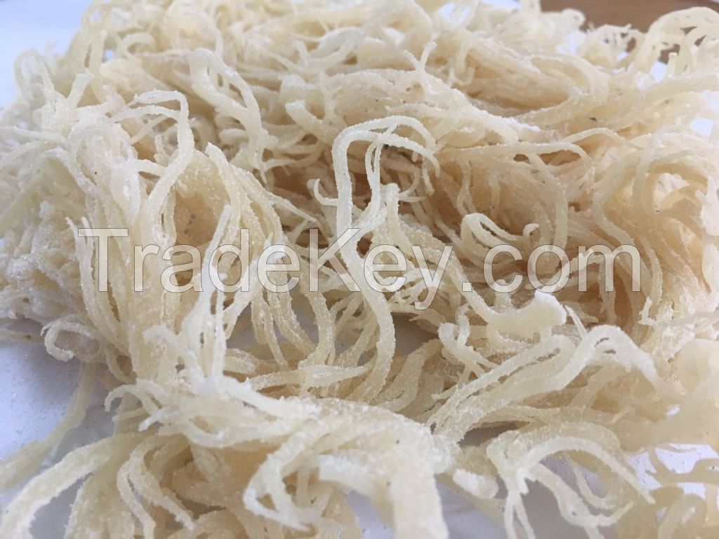 Wholesales Irish Sea Moss / Eucheuma Cottonii