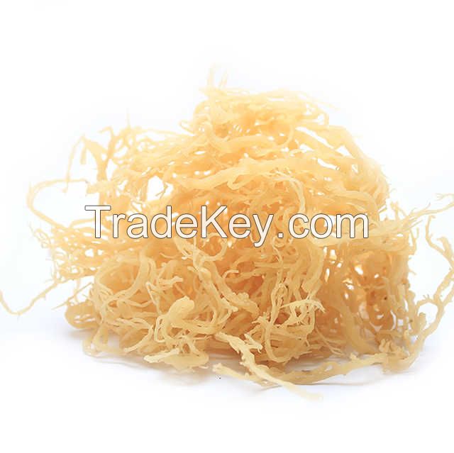 Wholesales Irish Sea Moss / Eucheuma Cottonii 