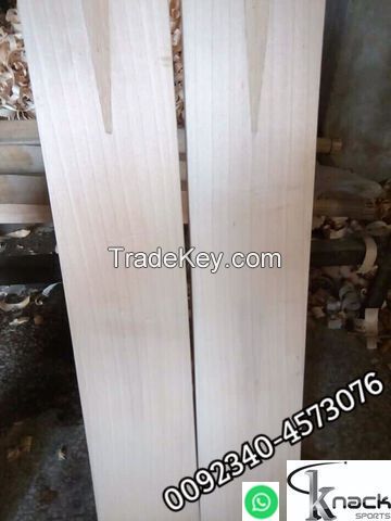 ENGLISH WILLOW HARD BALL BAT PUMA woodworm practics cricketergear bat