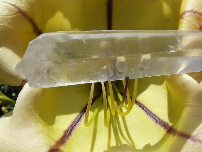 Quartz crystal