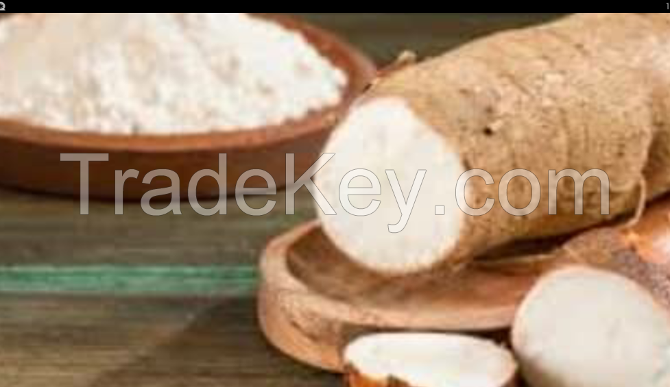 cassava flour