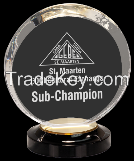 Custom Design Acrylic Award/Acrylic Trophy Award/Acrylic Trophy