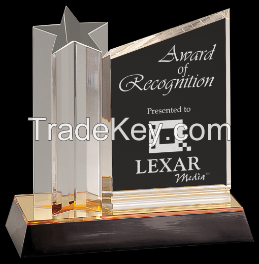 Custom Design Acrylic Award/Acrylic Trophy Award/Acrylic Trophy