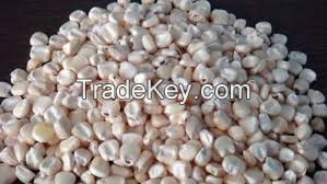 White Maize