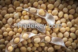 Soya beans