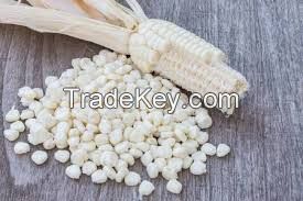 White Maize