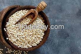 White Sorghum