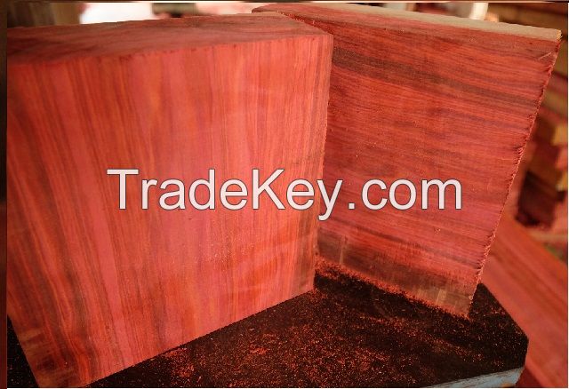 CHAKTE KOK  ( Mexican redheart wood )