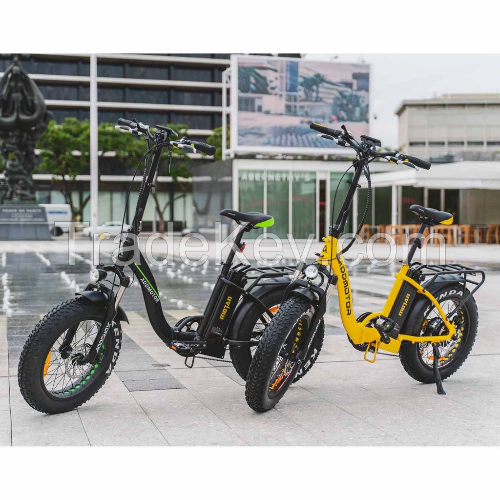 The electric bike 
