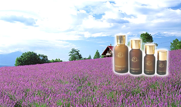 Lavender   essential oil