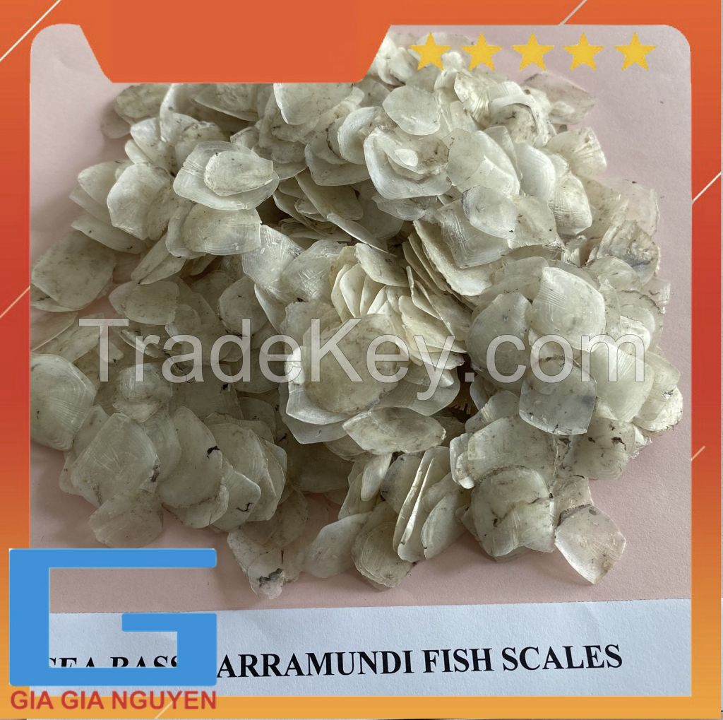 DRIED FISH SCALES FOR EXTRACT TILAPIA FISH SCALES