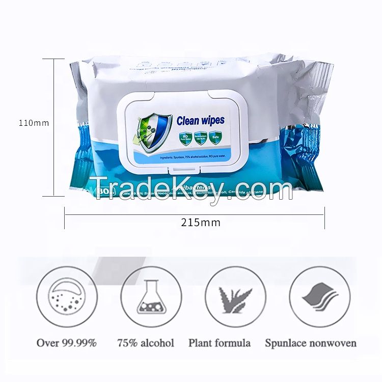 Antibacterial Disinfectant Wet Tissue Wipes Cleaning Fresh Hand Sanitizer Wet wipes Household Dry Cleaning Wipes