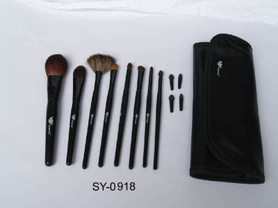 cosmetic brushes set