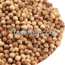 Coriander