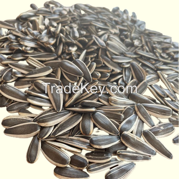 Sunflower Seeds