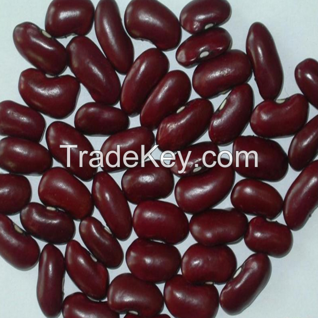 Red Kideny Beans