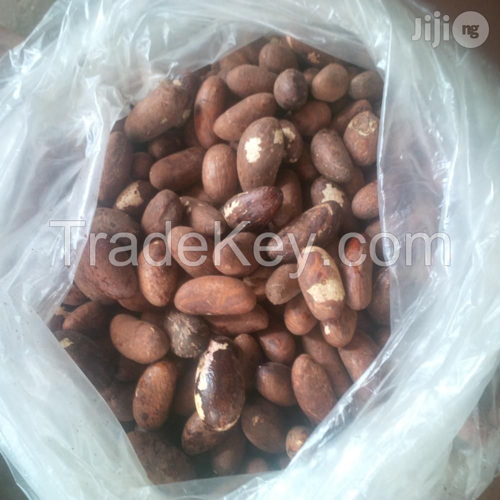 Fresh Bitter Kolar Nuts