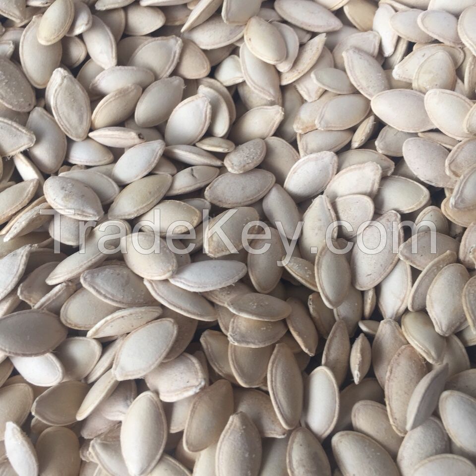 Vegetable Seeds