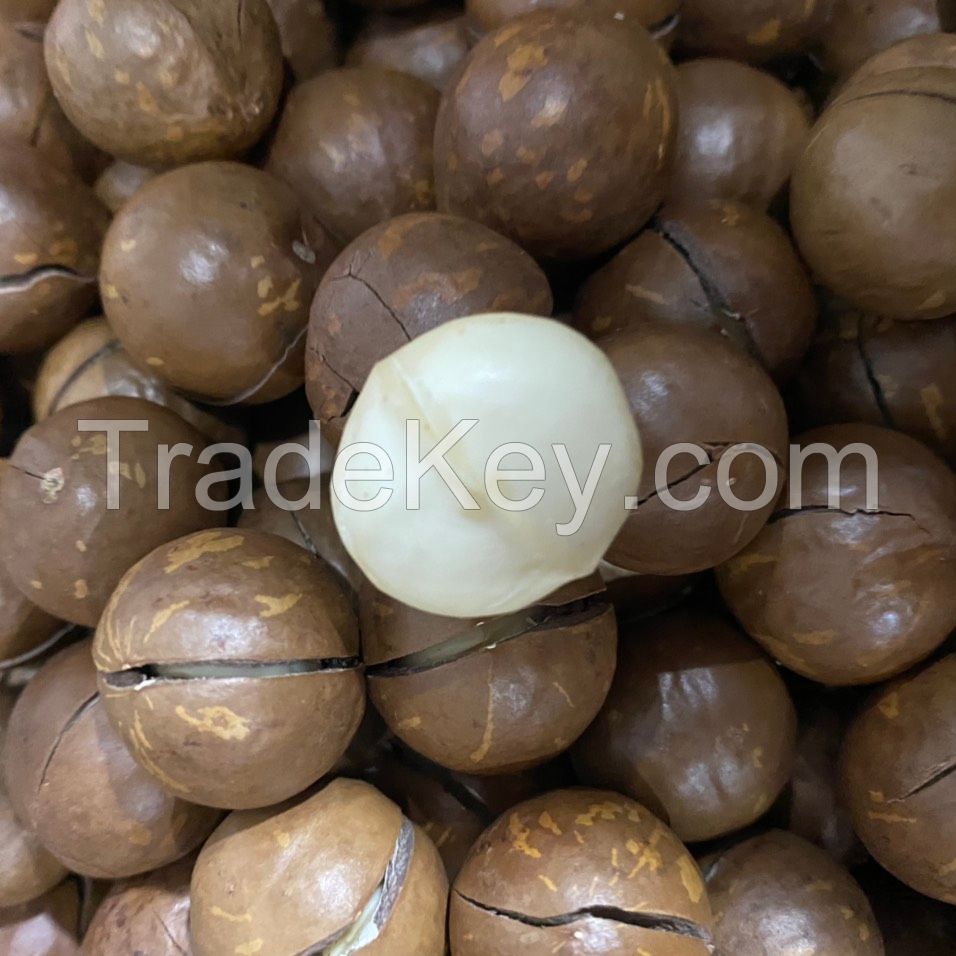  Macadamia Nuts