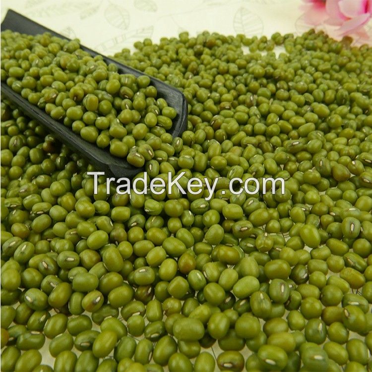 Mung Beans