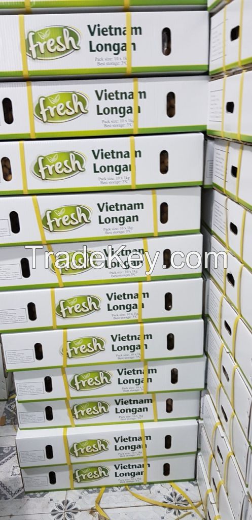 Vietnam fresh Longan