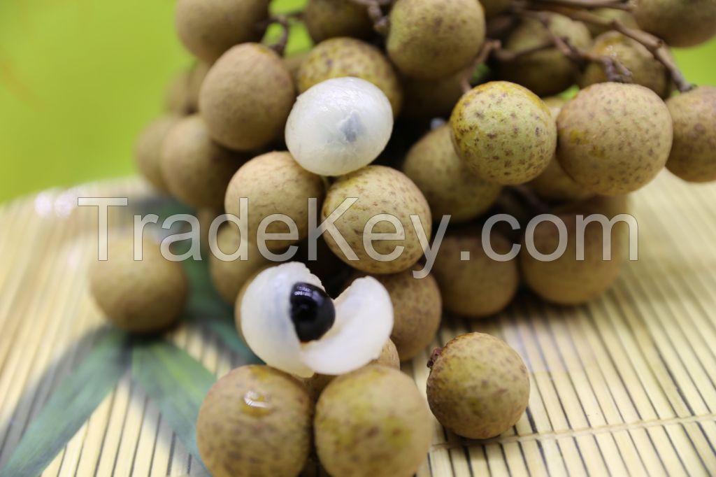 Fresh Vietnam Longan