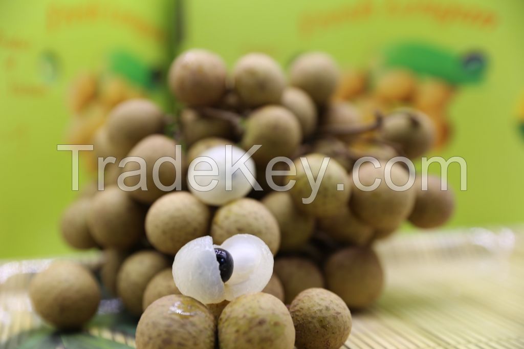 Fresh Vietnam Longan