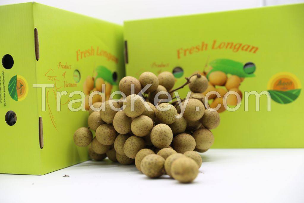 Fresh Vietnam Longan