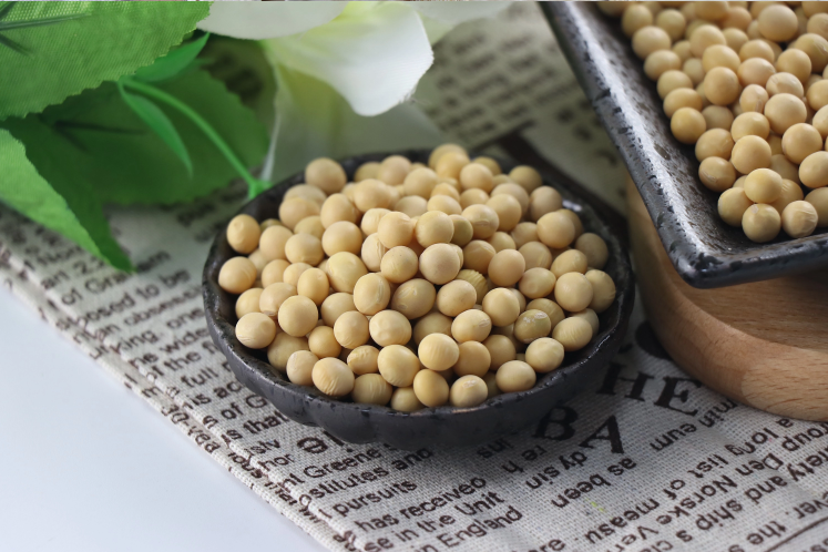 Soybeans | High Quality Agricultural Products