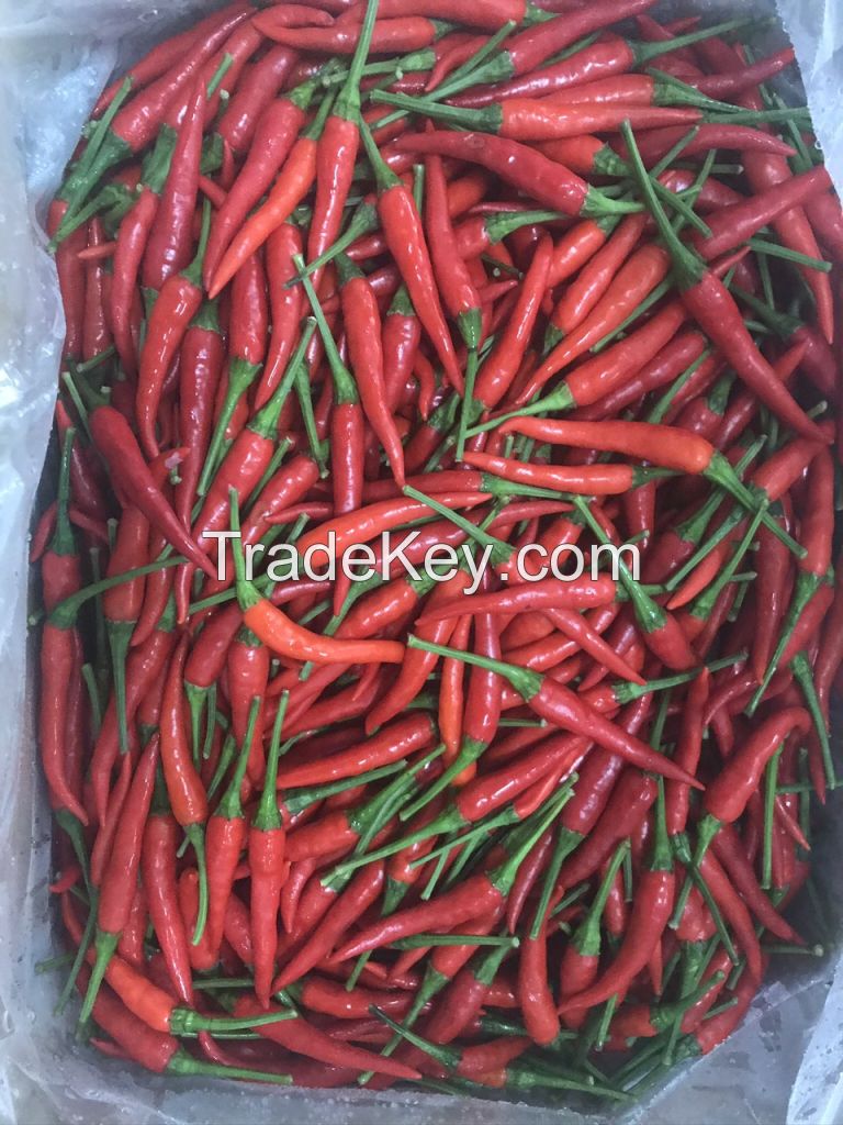 Hot Sales High quality Fresh Chilli Vietnam