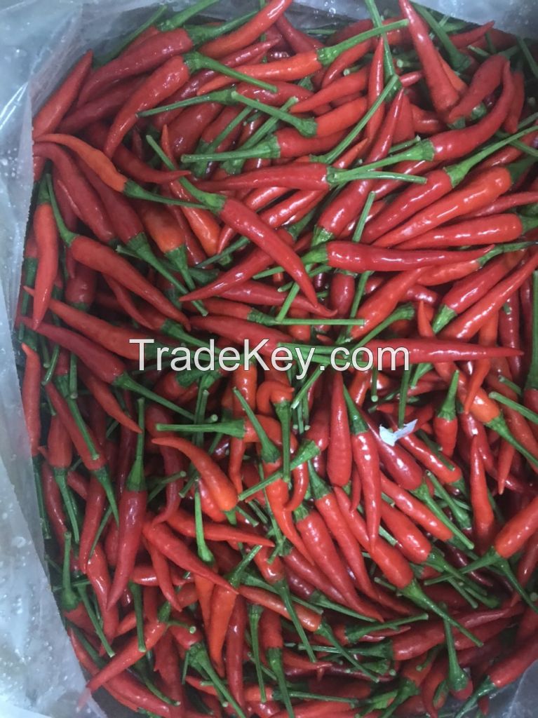 Hot Sales High quality Fresh Chilli Vietnam