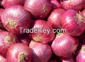 Fresh Red Onion