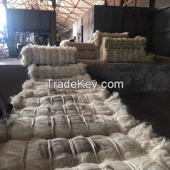 High Quality UG and SSUG Natural sisal fiber / sisal fibre 