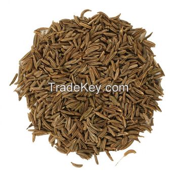 Caraway Seeds/Dried Caraway Seeds/Natural Caraway Seeds 